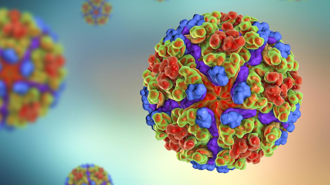 Keneden sonra yeni virüs uyarısı! Chikungunya'dan korunmak için bunları yapın