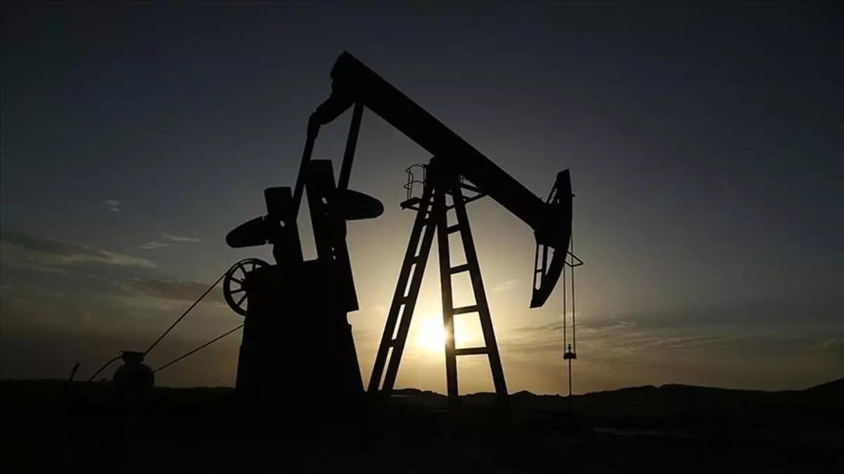 Hindistan’dan net açıklama: “Rus petrolü ne ABD ne AB yaptırımı altında”