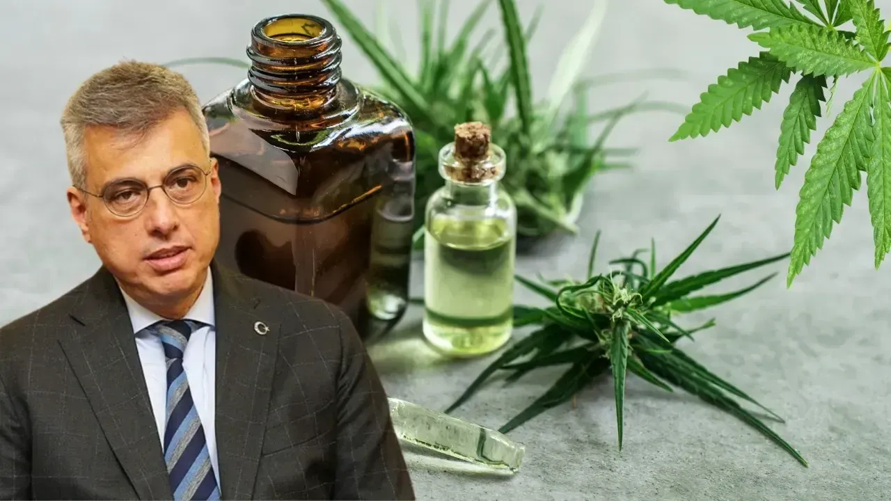 Sağlık Bakanı Memişoğlu Açıkladı: Tıbbi Kenevir Hangi Hastalara Verilecek?