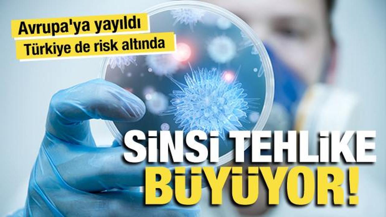 DSÖ’den Chikungunya uyarısı: 5,6 milyar kişi risk altında! Türkiye’de de görüldü
