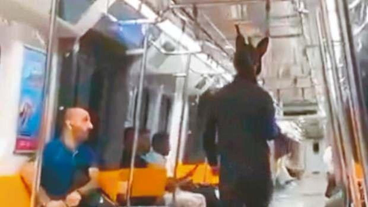Metrodaki “tüfekli tavşan” yakalandı