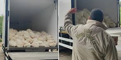 Sakarya’da gıda skandalı: Yüzlerce paket küflenmiş halde bulundu